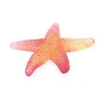 Load image into Gallery viewer, Coral Sea Starfish By Daum
